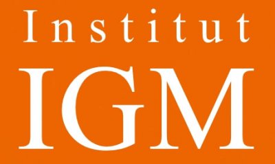 Institut IGM